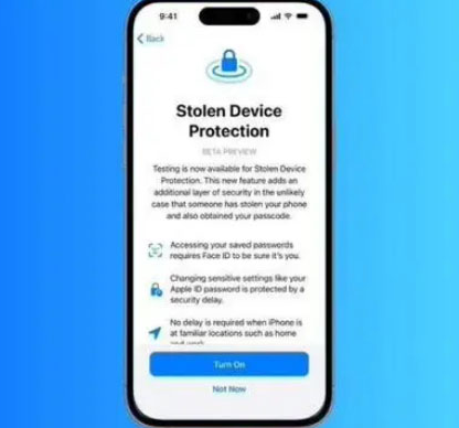 黎安镇苹果授权维修店分享被盗设备保护功能开启方法 
