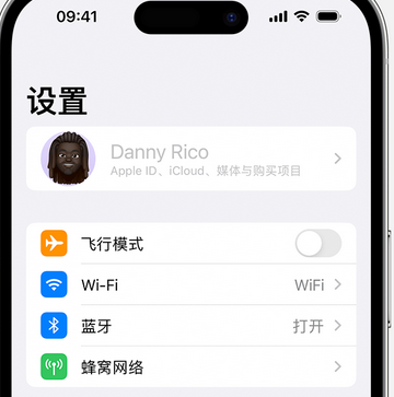 黎安镇appleID维修服务iPhone设置中Apple ID显示为灰色无法使用