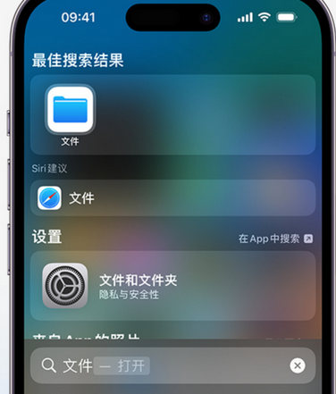 黎安镇apple维修中心分享iPhone文件应用中存储和找到下载文件 