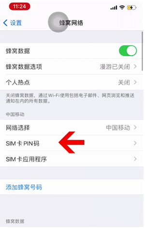 黎安镇苹果14维修网分享如何给iPhone14的SIM卡设置密码 