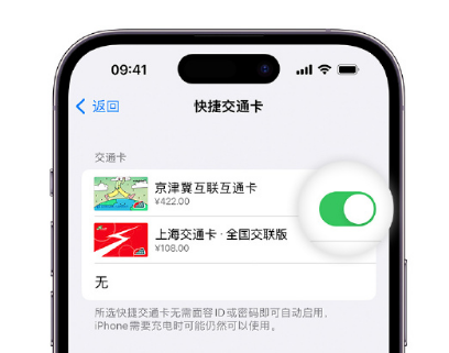 黎安镇apple维修点分享iPhone上更换Apple Pay快捷交通卡手绘卡面 