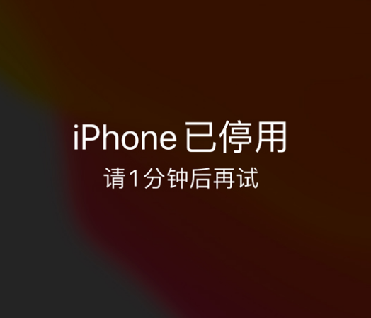 黎安镇苹果手机维修分享:iPhone 显示“不可用”或“已停用”怎么办？还能保留数据吗？ 