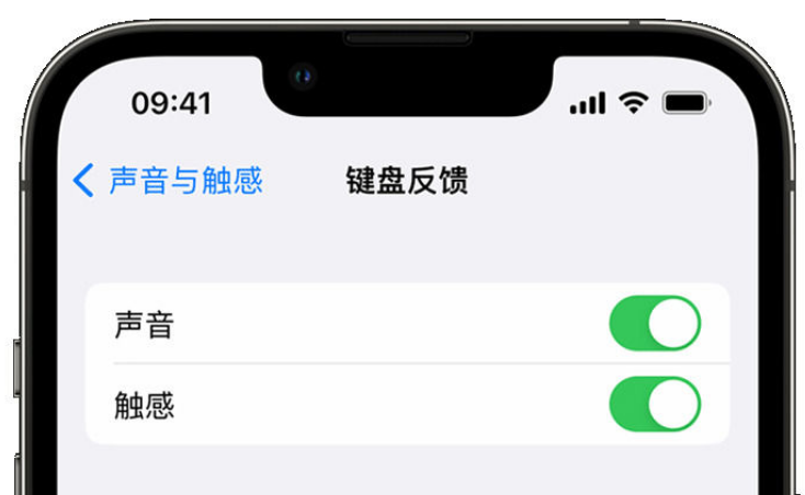 黎安镇苹果手机维修分享iPhone 14触感键盘使用方法 