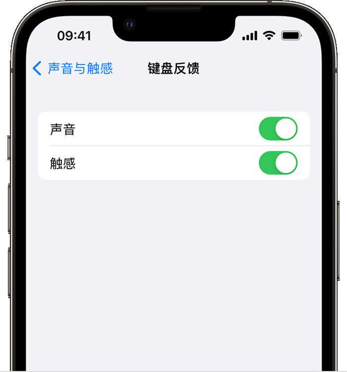 黎安镇苹果14维修店分享如何在 iPhone 14 机型中使用触感键盘 