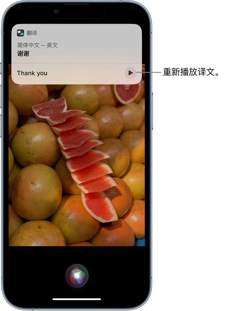 黎安镇苹果14维修分享 iPhone 14 机型中使用 Siri：了解 Siri 能帮你做什么 