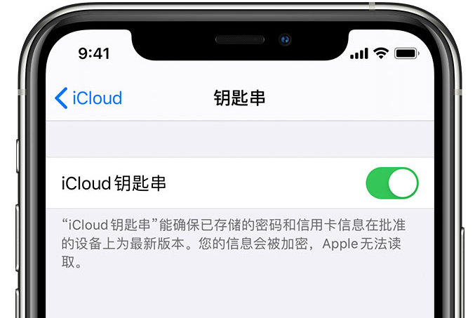 黎安镇苹果手机维修分享在 iPhone 上开启 iCloud 钥匙串之后会储存哪些信息 