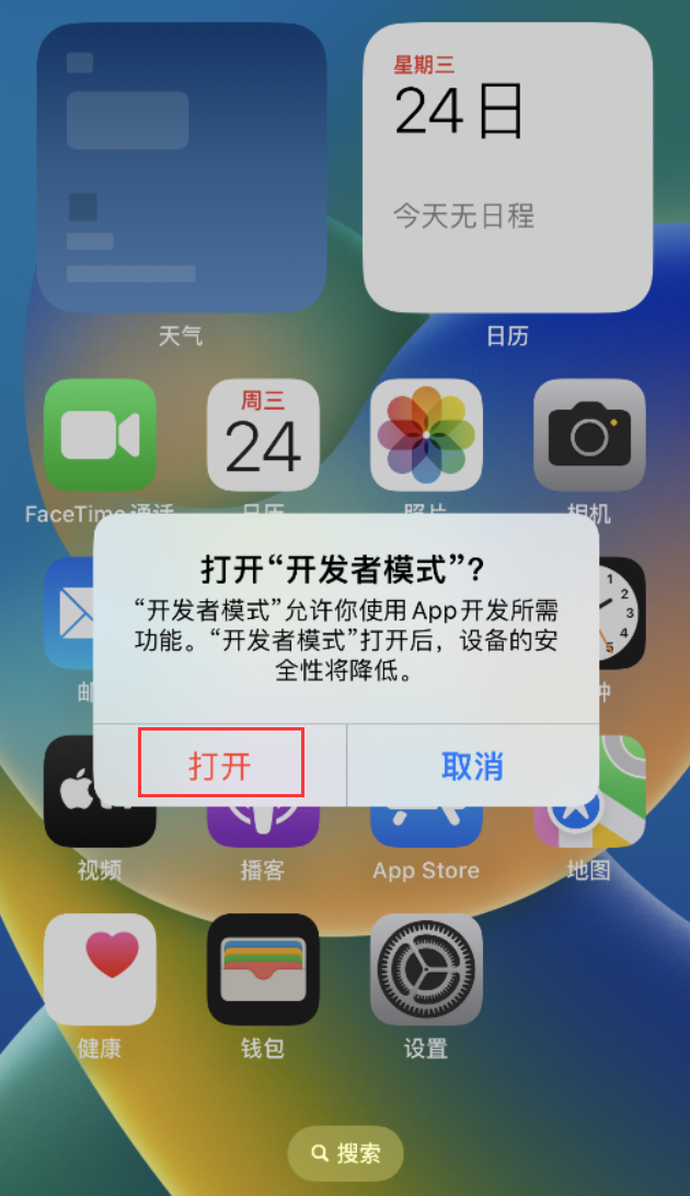 黎安镇苹果手机维修分享如何打开开发者模式 