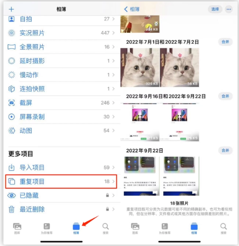 黎安镇苹果手机维修分享iOS 16 中相册重复项目功能使用方法 