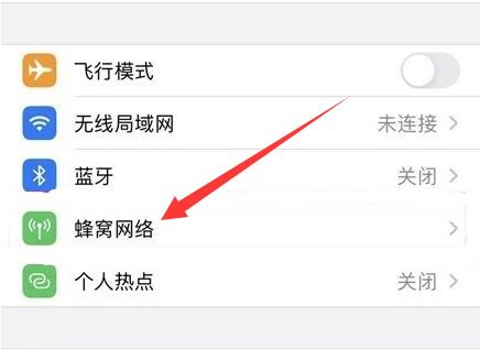 黎安镇苹果手机维修分享iPhone手机4G网络怎么设置成5G网络 