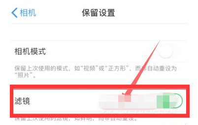 黎安镇苹果13维修分享iPhone13拍照有绿点是怎么回事 