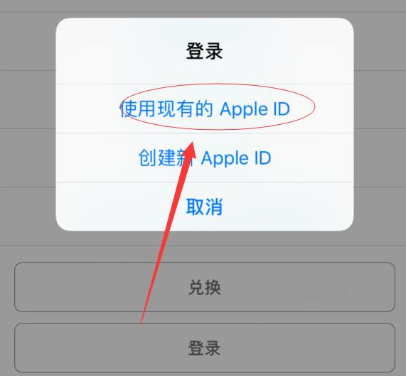 黎安镇苹果手机维修分享两台iPhone设备可以同时登录一个Apple ID吗 