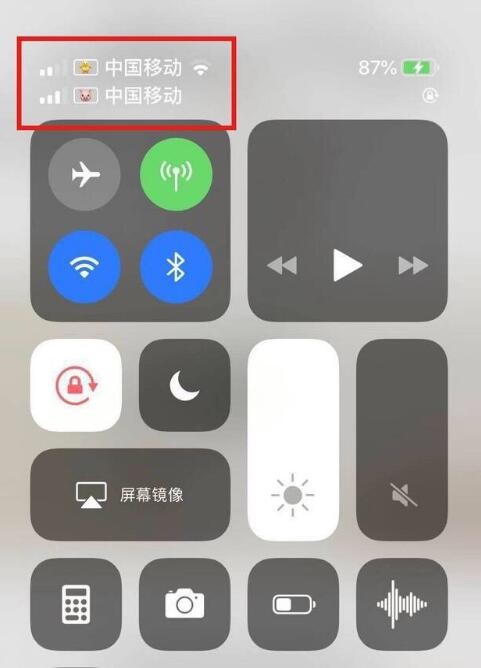 黎安镇苹果手机维修分享为 iPhone 12 双卡设置标签 