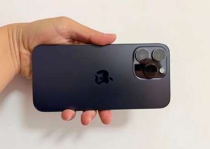 黎安镇苹果维修点分享iPhone 14 Pro Max黑屏少见故障盘点 