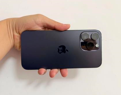 黎安镇苹果维修点分享iPhone 14 Pro Max发烫多重诱因剖析 